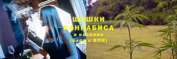 каннабис Новокубанск
