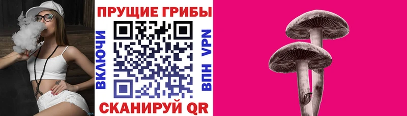 Псилоцибиновые грибы мухоморы Купить закладки Курск
