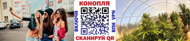 Каннабис гибрид  Купить где  Курск 